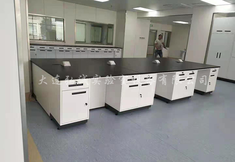 大连通风柜,大连实验台厂家,大连实验室设备,大连实验室家具